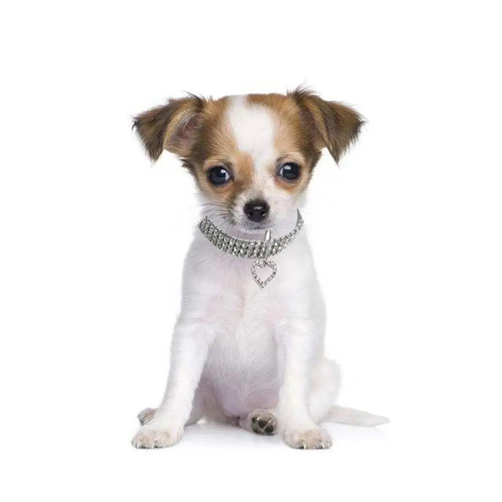 Rhinestone Decor Pet Collar, 1 Count Adjustable Pet Collar with Heart Shaped Pendant, Pet Accessories for Small Medium Large Dogs & Cats
